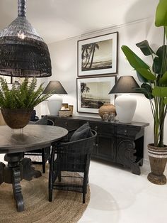 a dining room table surrounded by chairs and plants