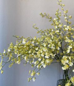 a vase filled with yellow flowers on top of a table