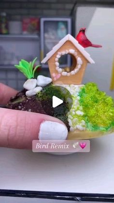 someone is holding a tiny birdhouse on a plate with moss and rocks in it