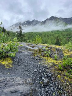 a rocky trail in the middle of a forest with mountains in the background and foggy sky