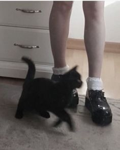 a black cat standing next to a pair of shoes