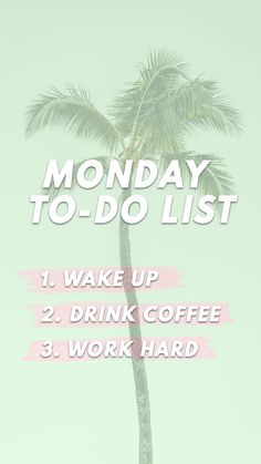 a palm tree with the words monday to do list