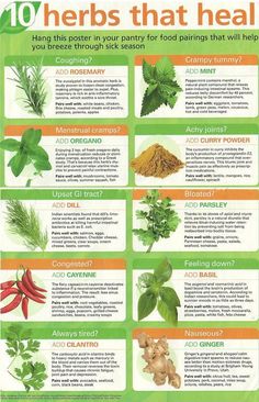 Benefits Of Herbs, Natural Diuretic, Healing Food, Healing Herbs