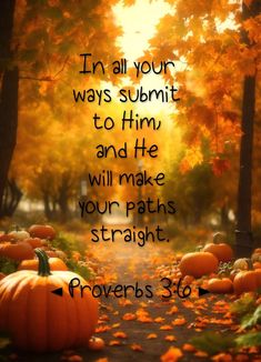 a path with lots of pumpkins and leaves on it, in all your ways sublimit to him and the will make your paths straight provers