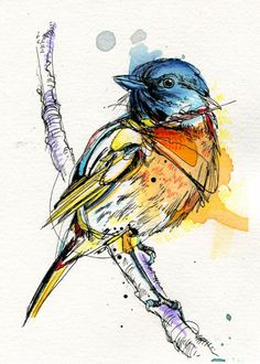 a drawing of a bird sitting on a branch with watercolor paint splatches