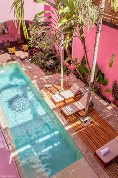 an empty swimming pool with lounge chairs and palm trees in the back ground, next to a pink wall