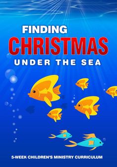 Finding Christmas 5-Week Children's Ministry Christmas Curriculum Christmas Curriculum, Childrens Ministry Christmas, Christmas Skits, Jesus Kids, Childrens Ministry Deals, Childrens Ministry Curriculum, Christmas Lesson, Christmas Program, What Is Christmas