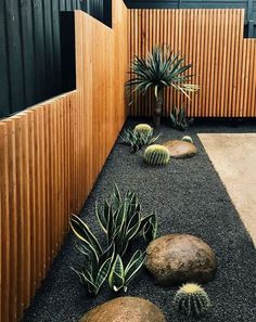 an outdoor area with rocks and plants in the center, along side a wooden fence