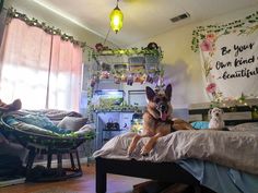 two dogs sitting on top of a bed in a room with curtains and lights hanging from the ceiling