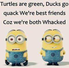 two minion characters with the caption turtles are green, ducks go quack we're best friends