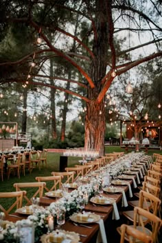 a long table set up for an outdoor dinner