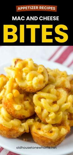 macaroni and cheese bites on a white plate with the title overlay reads, appetizer recipes mac and cheese bites