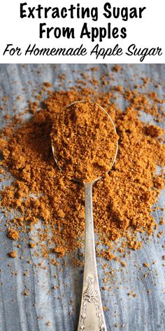 a spoon full of cinnamon sugar on top of a blue cloth with the words, how to make extra sugar from apples for homemade apple sugar