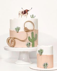 two cakes decorated with cactus and cow decorations on top of each other, one is pink and the other is white