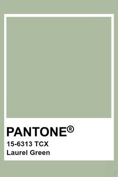 pantone's green color is shown with the words, 5 - 644 tcx