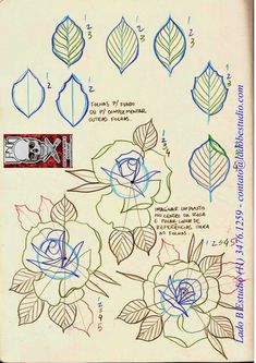 the drawing shows how to draw roses and leaves with colored pencils on white paper