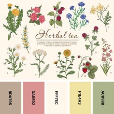 an assortment of flowers and herbs with the words herbea on them in different colors