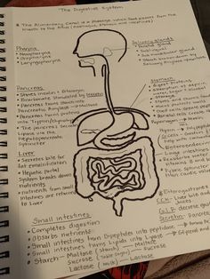 a diagram of the inside of a human body on top of a spiral notebook with words written in it