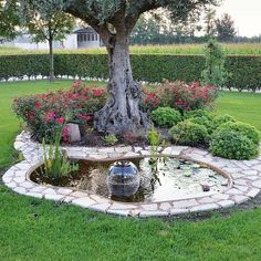 a pond in the middle of a garden surrounded by flowers and trees with a large tree behind it