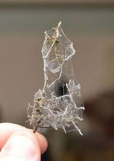 Tutorial - Realistic Spiderwebs Miniature Ghost Diy, D&d Terrain, Realistic Tutorial, Miniature Basing, Model Terrain, Book Frame, Haunted Dollhouse, Miniature Tutorials, Halloween Miniatures