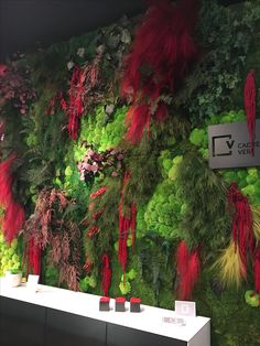 a wall covered in green plants and red feathers