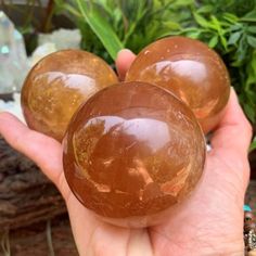 two brown marbles sitting on top of each other in someone's hand next to some plants