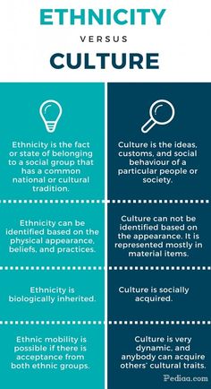 the differences between ethnicity and culturalism infographical poster for teaching on culture