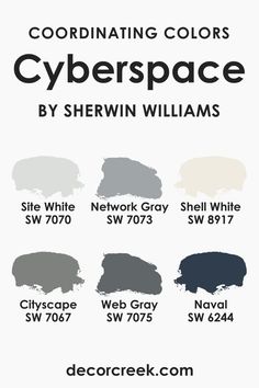 Coordinating Colors of SW 7076 Cyberspace Sw Cyberspace, Network Gray, Shutter Colors, Darkest Black Color, Dark Paint Colors, Repose Gray, Basement Living Rooms, Farmhouse Paint