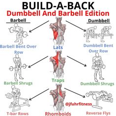 First things first as always, i am aware that most of these exercises incorporate most or all of the back muscles, this is just a demonstration to show you what exercises target each muscle more. -LATS Barbell: Barbell Bent Over Row Dumbbell: Dumbbell Bent Over Row. TRAPS Barbell: Barbell Shrug Dumbbell: Dumbbell Shrug. RHOMBOIDS Barbell: T-bar Rows I know the diagram may not look like a barbell but the t-bar row is done with a barbell or a t-bar row machine Dumbbell: Reverse Flys. Back Workout Bodybuilding, Back Workout Men, King Warrior, Traps Workout, Gym Tips