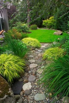 a garden with rocks and plants in it