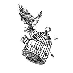 a bird flying out of a cage