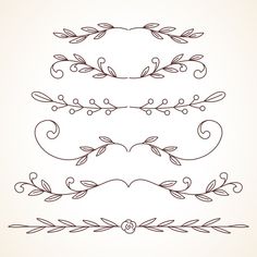 a set of hand drawn floral design elements, including vines and leaves on a white background