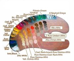 a diagram of the parts of an animal's body with all its main colors