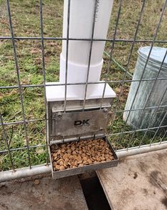 there is a metal box with nuts in it behind a fenced area that has grass and dirt on the ground