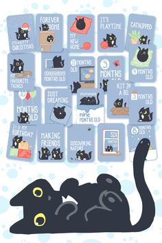 a black cat laying on top of a pile of blue stickers with different types of cats