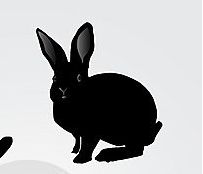 an image of a rabbit that is in the air with its shadow on the ground