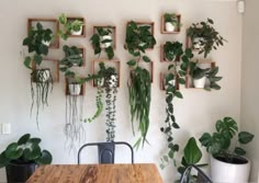 a wooden table topped with lots of green plants