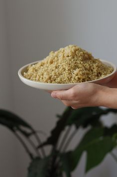 a person holding a white bowl with food in it's hand and a potted plant next to it