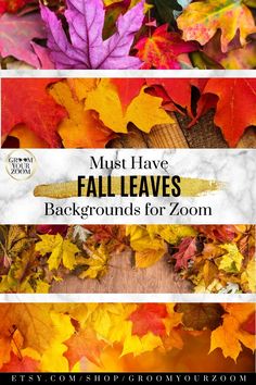 fall leaves with text overlay that reads must have fall leaves backgrounds for zoom