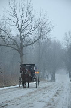 a horse drawn carriage traveling down a snow covered road in the middle of wintertime