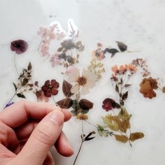 someone is holding their hand over some dried flowers on a table with white marble top