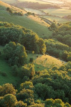 an aerial view of trees and rolling hills