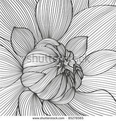 black and white drawing of a flower