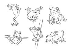 frogs and toades coloring pages for kids to print out, color in or color