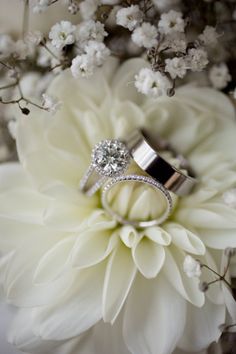 two wedding rings sitting on top of a flower with white flowers in the foreground