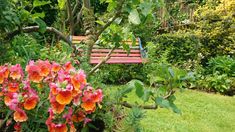 a wooden bench sitting in the middle of a lush green park filled with lots of flowers