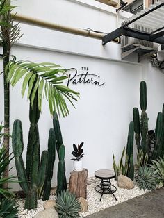 there is a small table and some plants in the corner by the wall that says patern