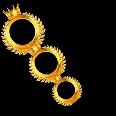 two gold rings with leaves on them are shown against a black background in this 3d image