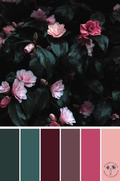 Dark Pink Color Palette Colour Schemes, Blush Color Combinations, Dark Floral Color Palette, Moody Floral Color Palette, Deep Rich Color Palette, Dark Romance Color Palette, Dramatic Color Palette, Colors That Go With Pink, Dark Pink Color Palette