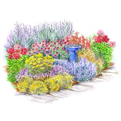 a drawing of a garden with colorful flowers